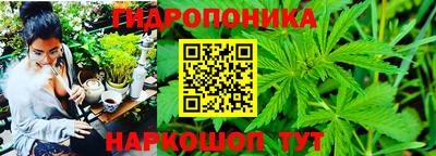 гашишное масло Кунгур
